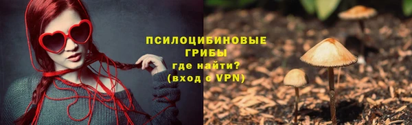 гашик Горно-Алтайск