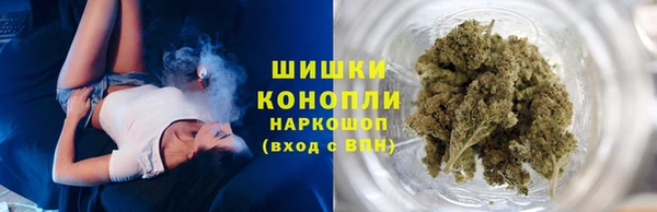 гашик Горно-Алтайск