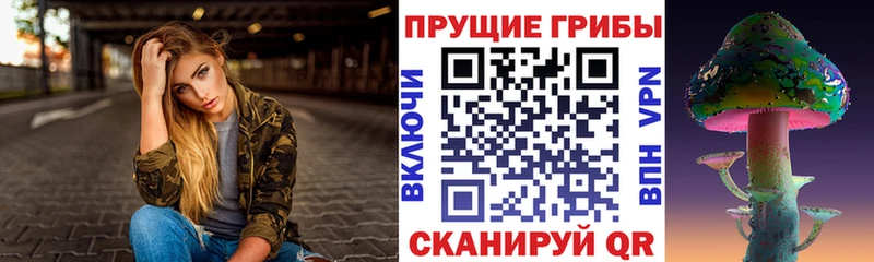 kraken маркетплейс  Прокопьевск  Псилоцибиновые грибы GOLDEN TEACHER 
